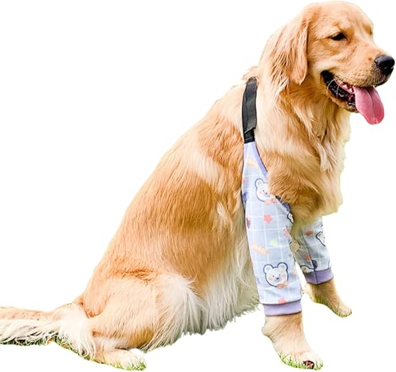 Dog Elbow Protector, Thickened Elbow Sleeves with Mesh Pad for Medium Large Dogs Winter Autumn Prevent Licking Wound (Purple Bear,L)