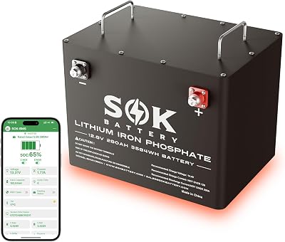 SOK Battery 12V 208Ah LiFePO4 Lithium Iron Phosphate Deep Cycle Battery, Large Capacity Battery, Built-in Heater, Perfect for your RV or Any off-grid Application, Low Temperature Disconnect