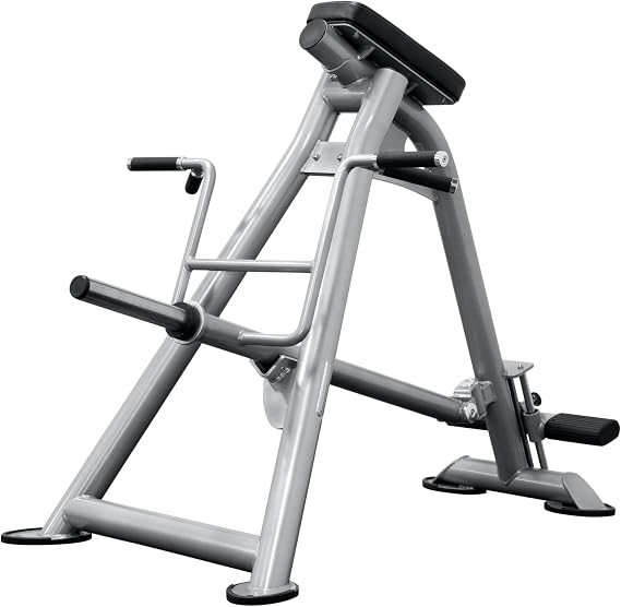 CF2173 Standing T-Bar Row