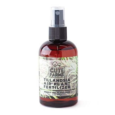 Cute Farms Tillandsia Air Plant Fertilizer | Gentle Weekly Use Formula Plant Food | Formulated Nutrients for Air Plants (4 oz. Spray Bottle)