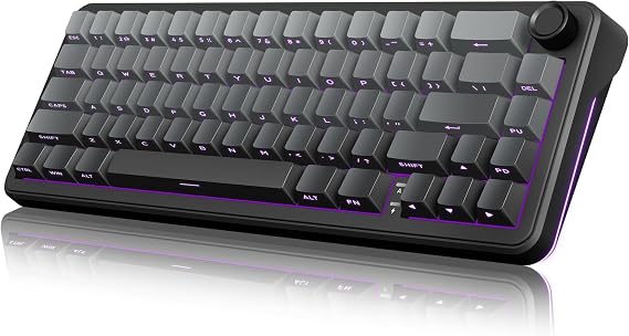RedThunder K65 Wireless Mechanical Gaming Keyboard, Trip-Modes Connection, Gasket Custom Hot-Swap Keyboard, RGB Backlit, Pre-lubed Linear Switches, Side Engraved PBT Keycaps, Gradient Gray