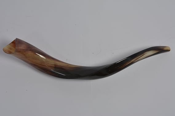 Kosher Yemenite Kudu Horn Full Polished Shofar shofars from Israel Size 20"-24", Includes Shofar Odor Spray and Comprehensive Shofar Blowing Guide
