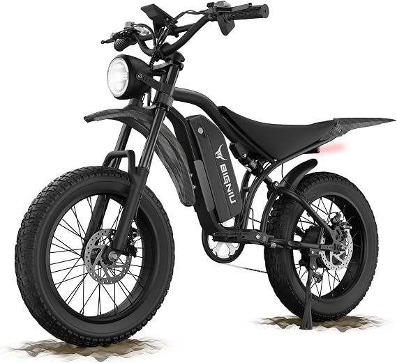 BIGNIU Electric Dirt Bike, Ebikes for Adults with Peak 1200W Motor, 20" Fat Tire, 48V 15A Battery, Dual Disc Brakes E Bike for Off-Road and Electric Bike for Adults Purple
