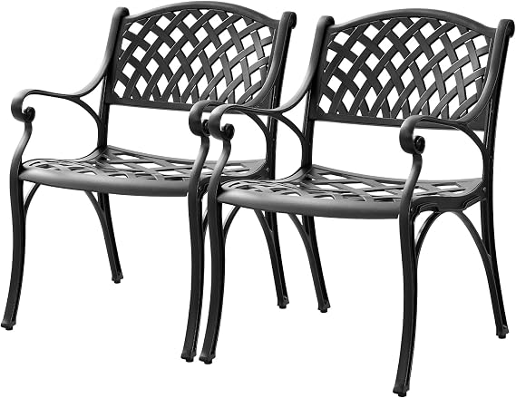 Outdoor Dining Chairs Set of 2, Cast Aluminum Patio Chairs Set with Armrest, Bistro Chairs Outdoor for Garden, Porch, Backyard