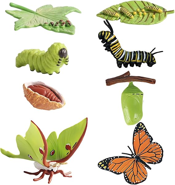 Butterfly Growing Kit, Comprehensive Life Cycle Set, Caterpillars and Butterflies, 8-Piece Educational Display, Biology Study Resources, Nature Observation Tools