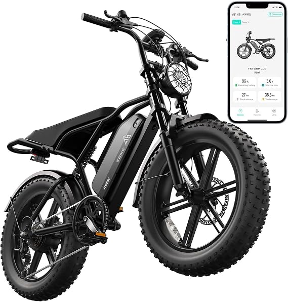TST Electric Bike - 48V 15Ah Battery, 1500W Peak Motor, 20 * 4.0 Fat Tire