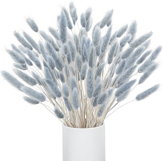 Blue Pampas Grass 120pcs, 16in, Bunny Tails Dried Flowers