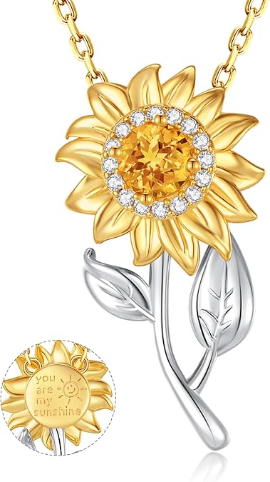 FANCIME Flower necklace Sterling Silver Spinning Pendant, You Are My Sunshine Fidget Rotatable Jewelry Birthday Mothers Day Gifts for Women Mom Wife Her