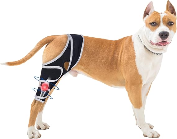 Dog Knee Brace for Torn Acl Hind Leg - Relieves Ligament Injury and Joint Pain, Adjustable Leg Support Bracket for Warmth and Support, Universal Dog Knee Brace for Four Legs, S