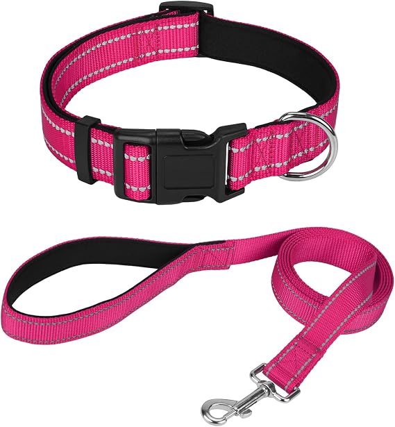 Reflective 6FT Dog Leash and 10"-15.5" Dog Collar Set, Soft Padded Basic Collar and Padded Handle Leash for Small Dogs, Hotpink