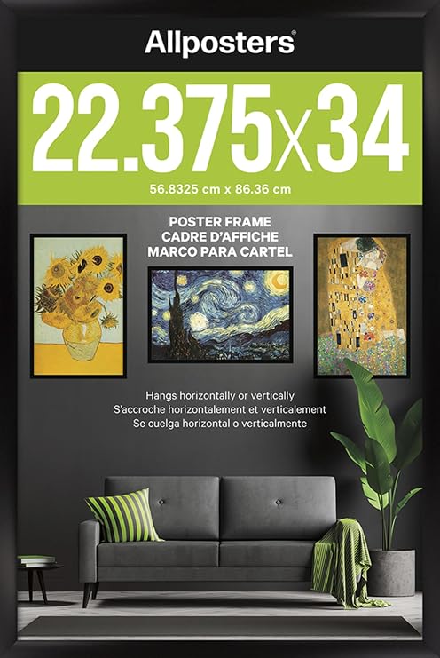 Poster Frame - Black (22.375" x 34") - Deluxe