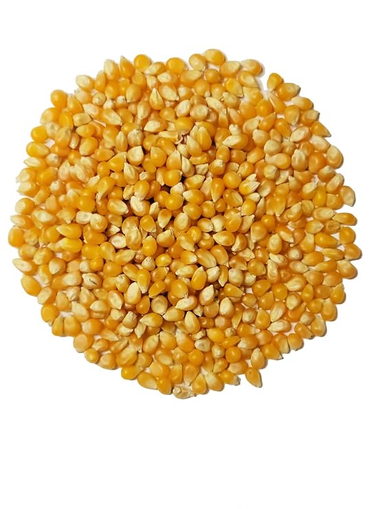 Organic Popcorn Kernels unpopped Non-GMO, Vegan Bulk Raw (1 lb)
