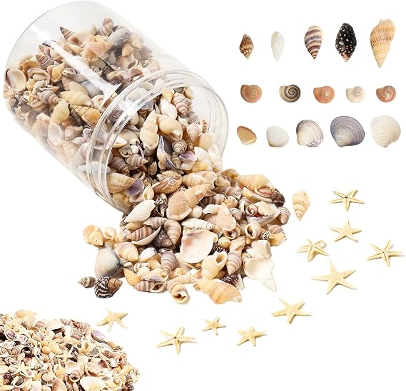 1200 Pieces Tiny Sea Shells Small Natural Starfish Mixed Ocean Beach Spiral Seashells for Home Decorations,Wedding Decor,Candle Making,Beach Theme Party,DIY Crafts and Vase Filler