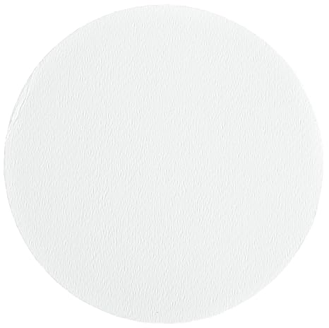 Whatman 10370018 Glass Microfiber Filter with Inorganic Binder, 40 s/100mL Flow Rate, Grade GF 6, 2.5cm Diameter (Pack of 200)