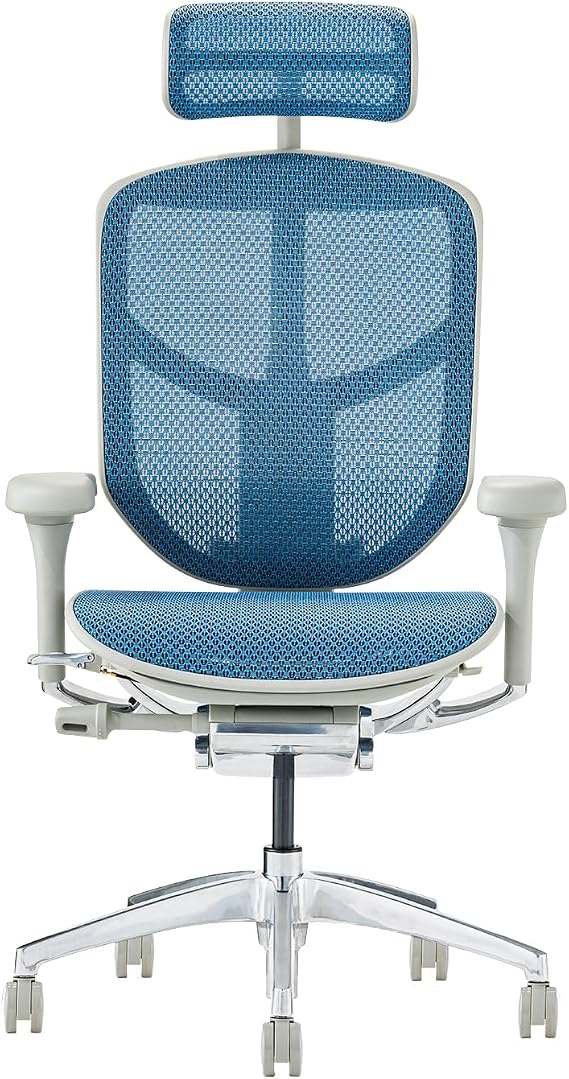 Ergohuman2 EJ2-HAM-GF-BL Office Chair with Headrest, Enjoy High Type, Frame: Gray, Mesh: Blue
