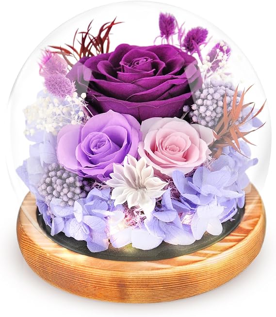 Jabeick Preserved Flowers Rose in Glass Dome with Light Forever Flowers
