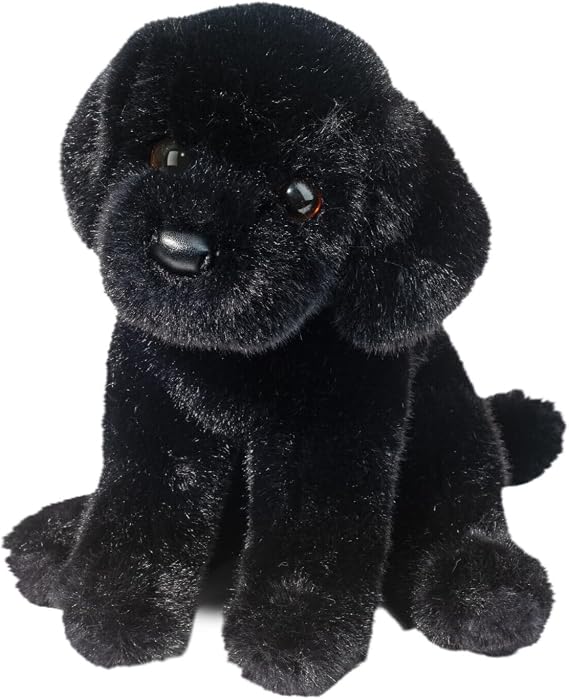 Black Labrador Retriever Puppy by Douglas