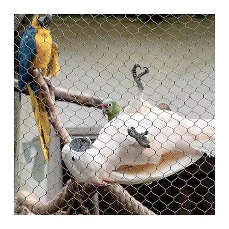 Stainless Steel 304 Chicken Wire, 5x5cm Mesh Fencing to Protect Gardening Plants Vegetables Flowers Fruits DTVEW(2x8m)