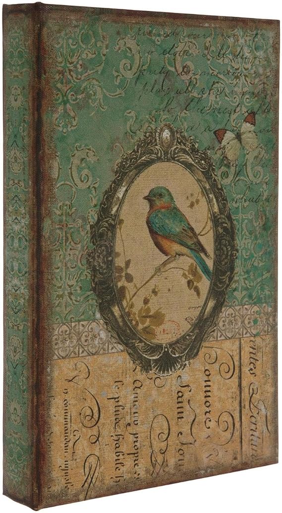 Hobby Lobby Vintage Book Box with Bird Design, 8.31 x 5.38 x 1.13 inches | Decorative Storage Box, Teal and Beige