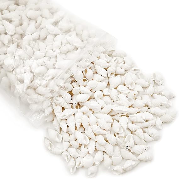 White Clam Cay Cay Sea Shells for Home Decorations, Party Wedding, DIY Crafts (About 350pcs Spiral Shape)