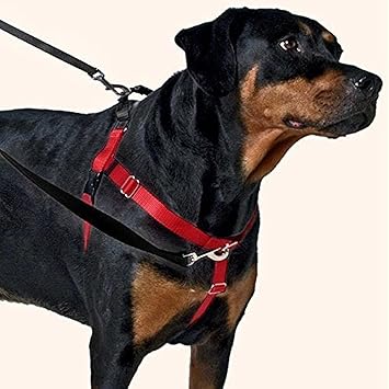 2 Hounds Design Freedom No-Pull Dog Harness Training Package with Leash, Medium 1" Wide, Black