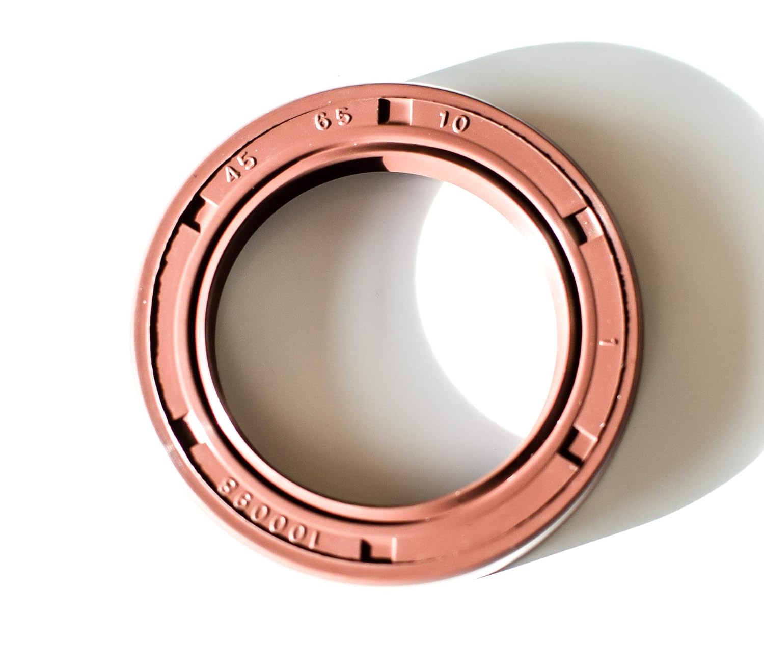 EAI 45mm x 65mm x 10mm FPMFKM TC Double Lip wStainless Steel Spring Oil Seal. Comp. w Viton Shaft Seal