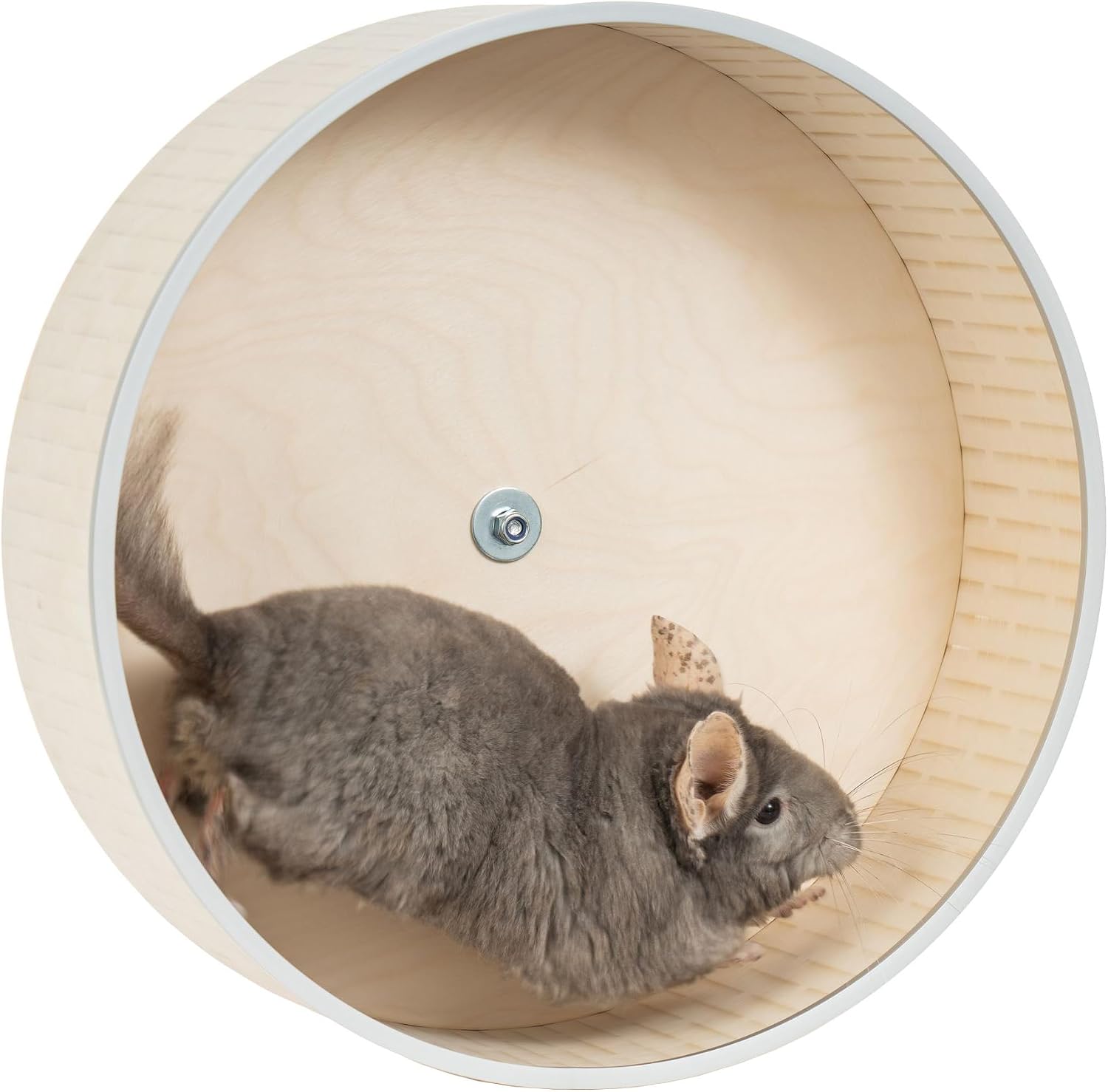 Chinchilla Exercise Wheel 16" Silent Operation