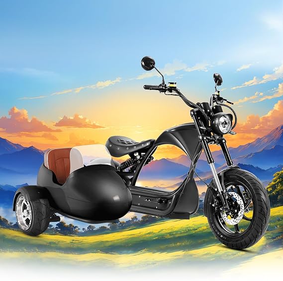 eAhora M1P Pro 4000W Electric Motorcycle for Adults,50Hight MPH, 60V42AH Battery with 55Miles Long Range,Steel Legal
