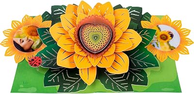 Paper Love Sunflower Pop Up Card, 3D Popup Greeting Cards, For Valentines Day, Mothers Day, Fathers Day, Graduation, Spring, Birthday, Any Occasion | With MessagePhoto Insert | 5 x 7