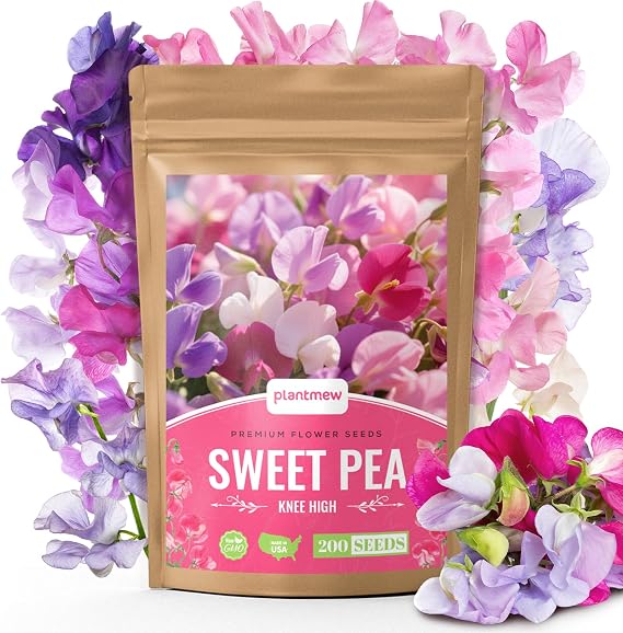 Sweet Pea Seeds 200 (Knee High Mix) Easy to Grow for Beginners, Colorful & Lightly Fragrant Flowers for Garden, Balcony & Trellis Non-GMO Seeds for Outdoor Planting
