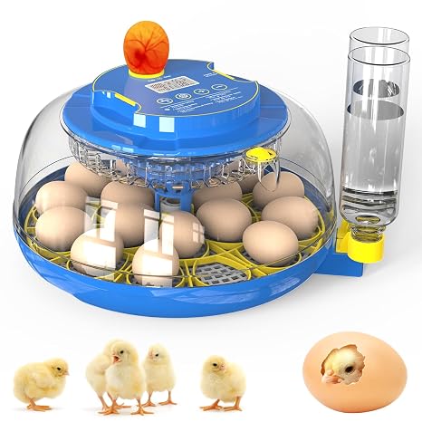 Incubator for Hatching Eggs with Automatic Egg Turning & Temperature/Humidity Control, 18 Egg Incubator for Chicken/Quail/Duck/Goose Eggs