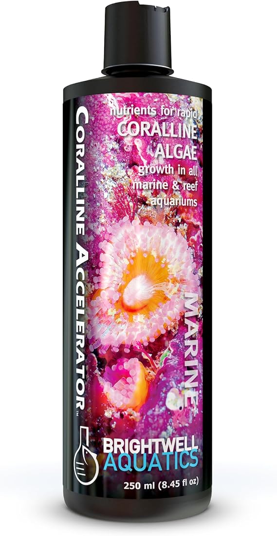 Brightwell Aquatics Coralline Accelerator Coralline Supplement, 250 ml