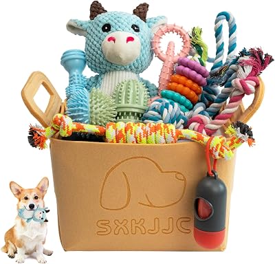 Dog Chew Toys for Teething,Boredom,Toothbrush,18 Pack Puppy Toys with Rope Toys, Balls and Squeaky Toys for SmallMedium Breeds