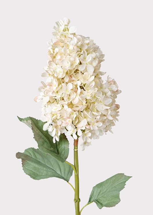 Afloral Large Dried-Look Hydrangea in Parchment