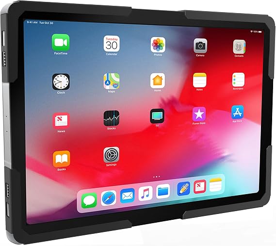 Mount-It! Universal iPad & Tablet Wall Mount Holder, Secure Steel Enclosure