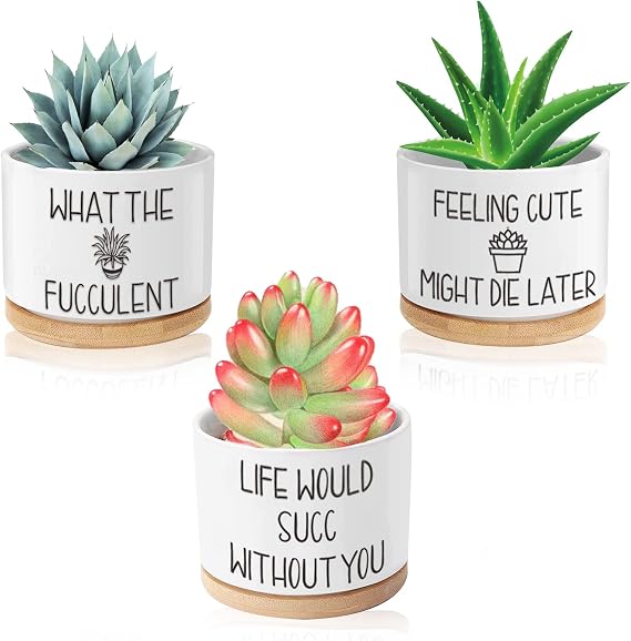 Funny Plant Pots, 3.15 inch Ceramic Flower Succulent Pots with Drainage Holes and Saucers, Cute Cactus Planters for Indoor Plants, Birthday Gifts for Women, Pack of 3 - Plants Not Included