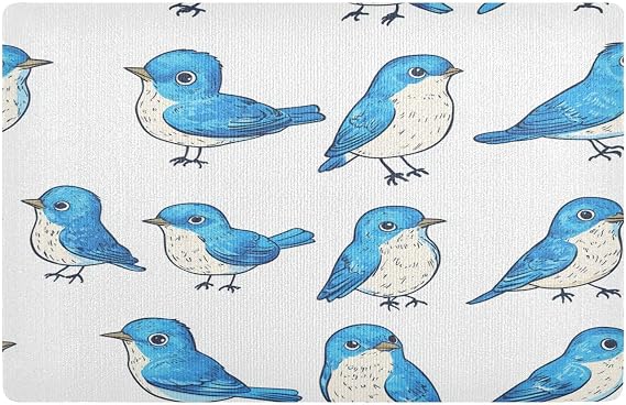 Floor Door Mat 32x20in Non-Slip Rubber Backing Trap Dirt and Moisture Back Door Mat Absorbent Entryway Mat for Muddy Shoes & Paws Cartoon Cute Eastern Bluebird Birds White_2