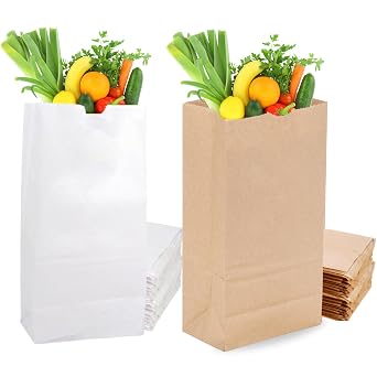 DURO 12# White and Brown Kraft Paper Lunch Bags, 100 Count Each - Bulk Disposable SOS Paper Sacks, Bagel & Deli Bags for Restaurant Takeout/Delivery, 7.06 x 4.50 x 13.75 Inches, White (40# Recycled)