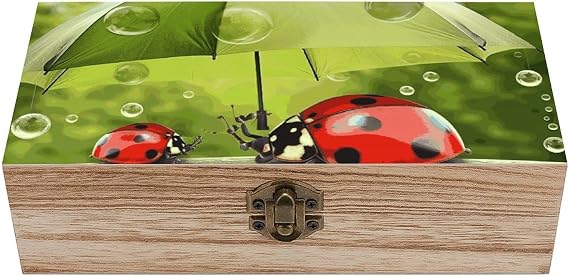 Funny Ladybug Holding Umbrellas Wooden Storage Box Vintage Decorative Boxes With Hinged Lid Keepsake Box Jewelry Gift Boxes For Home Decor Storage