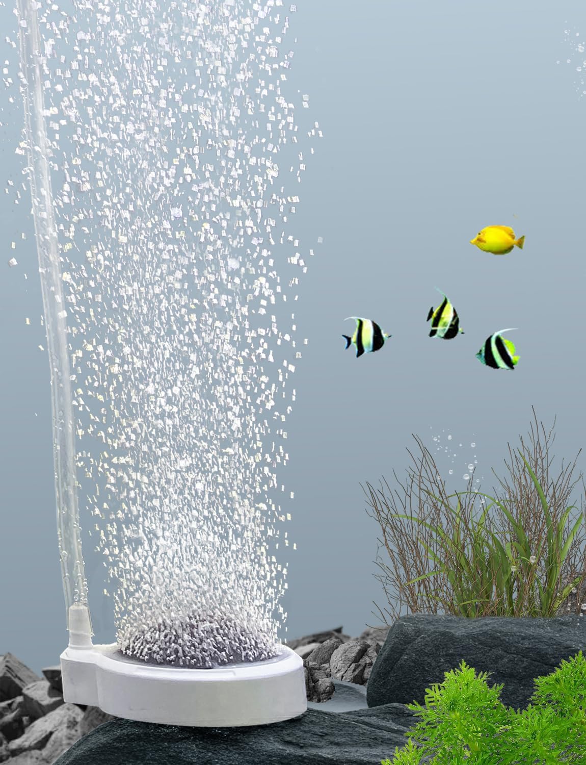 boxtech Fish Tank Air Stone Kit, Oxygen Nano Bubble Stone, for Silent Oxygen Diffuser for Fish, Shrimp and Hydroponic Plants (50 mm, Accessories Not Included)