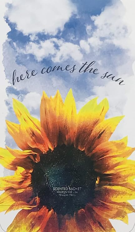 Expressive Scent 6 Pack Large Scented Sachet Envelope - Sunflower