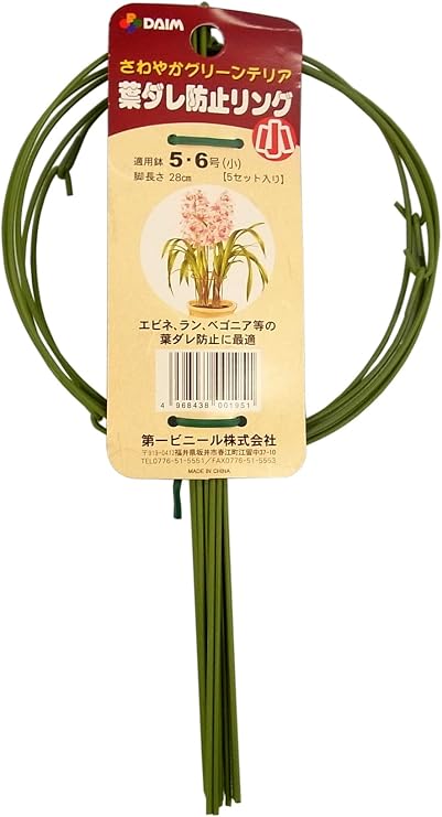 Daim Leaves and Prevention Ring Small 5 # # # # 6 # # # # Vase for