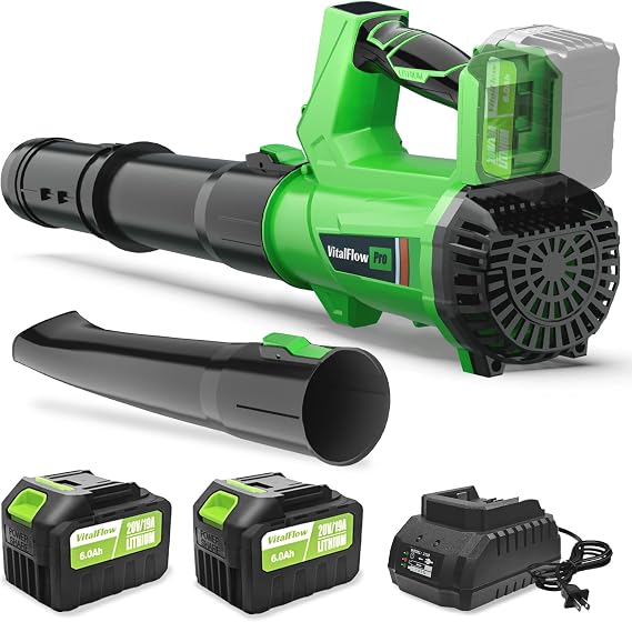 Cordless Leaf Blower with 2 6.0Ah Batteries and Charger, 540CFM/170MPH Battery Powered Leaf Blower, 6 Speeds, Lightweight Electric Leaf Blowers for Lawn Care, Patio, Dust and Leaves Cleaning 2025