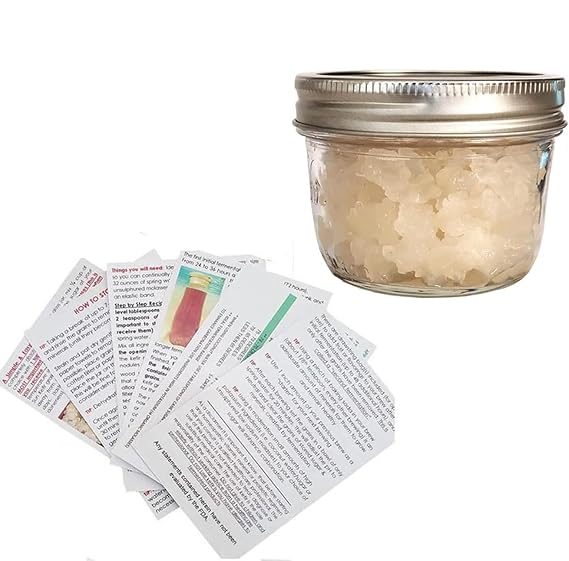 One SEALED Glass Jar HALF Cup Original Florida Sun Kefir Live Water Kefir Grains