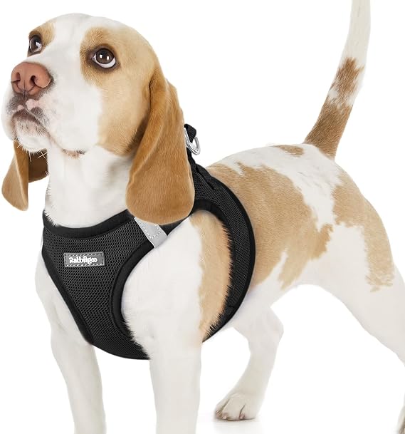 rabbitgoo Dog Harness Small Dog, Step-in Soft Mesh Vest, Black | Easy to Wear, Lightweight & Breathable, Escape Proof with Secure Buckle, Reflective Strips, for Small Medium Dog Walks, M