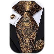 Hi-Tie Mens 63inch Extral Long Tie Paisley Striped Floral XL Necktie Set for Big Tall Men Handkerchief Cufflinks Wedding
