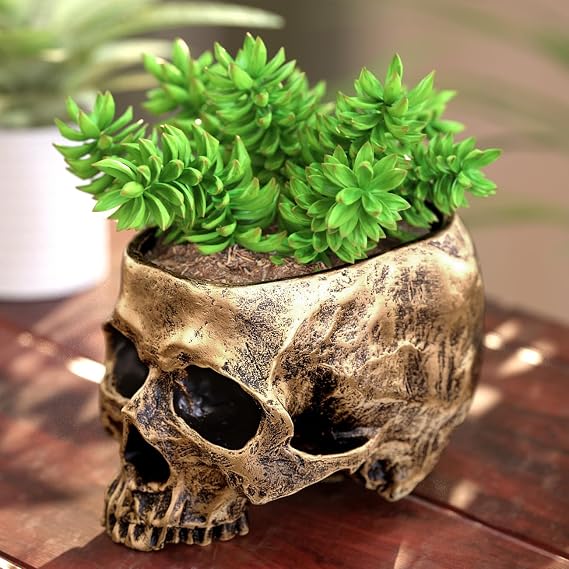 READAEER Resin Skull Bowl, Makeup Brush Organizer, Pen Holder, Planter Flower Pot, Skull Statue for Home Office Indoor Desk Decorations (Gold)
