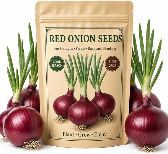Red Onion Seeds 500 Seeds for Planting Round Bulb Garden Vegetable Variety