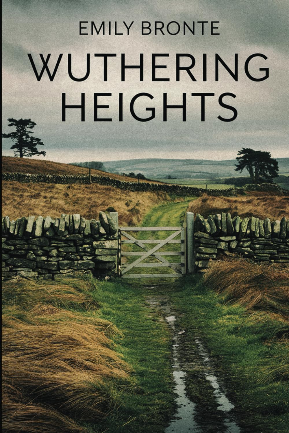 Wuthering Heights by Emily Bronte: The Original Victorian Classic Paperback – 1 Sept. 2024