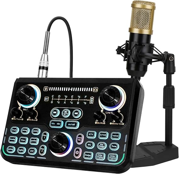 Microphone Kit, Recording Studio Equipment, Perfect for Recording, Live Gaming, Streaming, Guitar with PC, Laptop, Smartphone T100